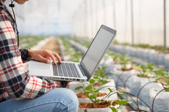 Agriculture technology concept man Agronomist Using a Laptop in an Agriculture Field read a report Plant analysis and r_19624